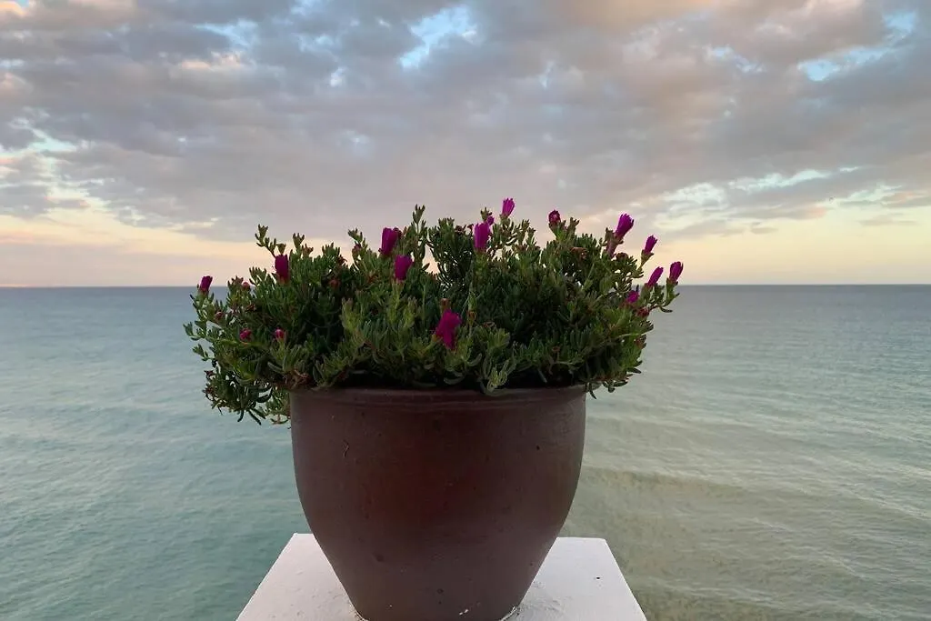 Amazing Frontline Sea Views Studio Apartment Castillo Del Vigia Torremolinos